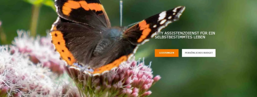 City Assistenzdienst